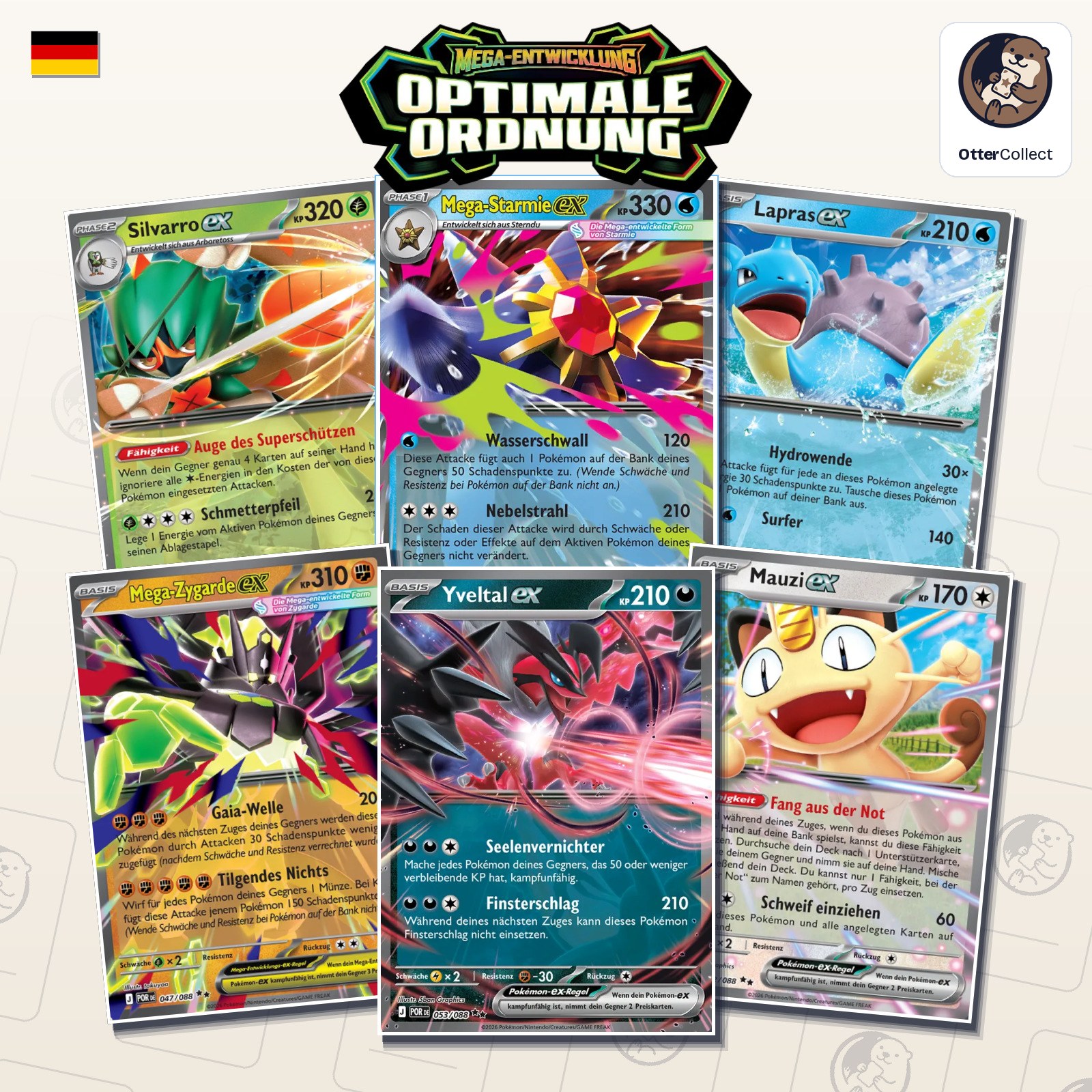 Pokémon TCG Optimale Ordnung Einzelkarten (Cover)